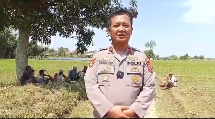 Kapolsek Kedokanbunder Blusukan ke Pesawahan, Dengarkan Keluhan Petani
