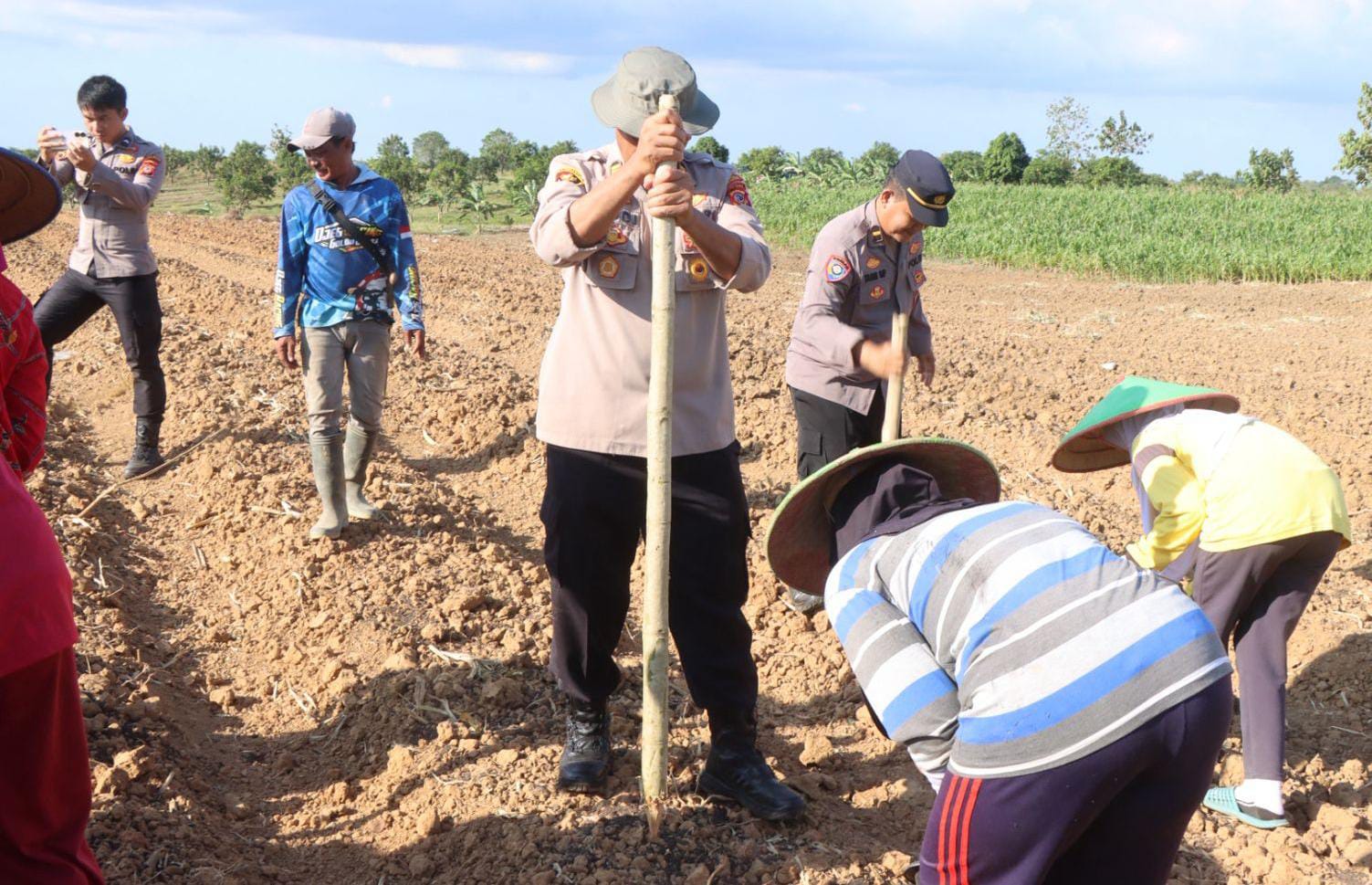 Polres Indramayu Lanjutkan Penanaman Jagung.