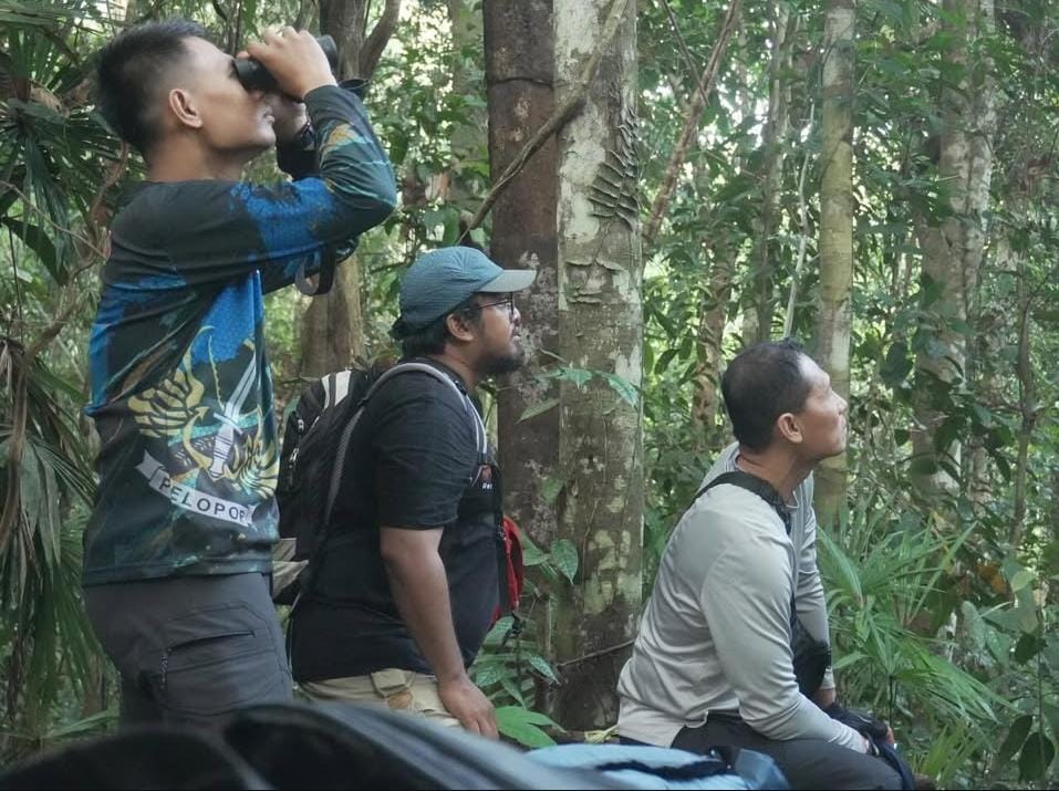 Sinergi Polri FFI, Kapolda Gatot Haribowo Kawal Perlindungan Cendrawasih Kuning Kecil di Papua