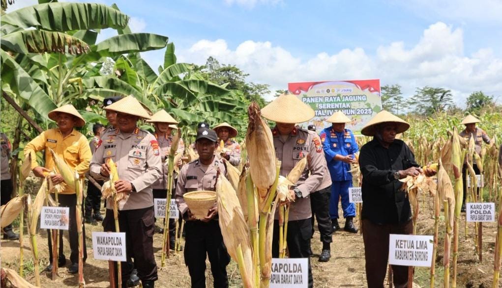 Kapolda Gatot Haribowo Pimpin Panen Raya Jagung Kuartal IV di Sorong